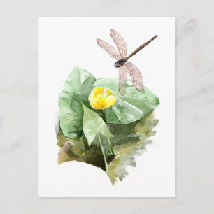 Wasserlilie Postkarte
