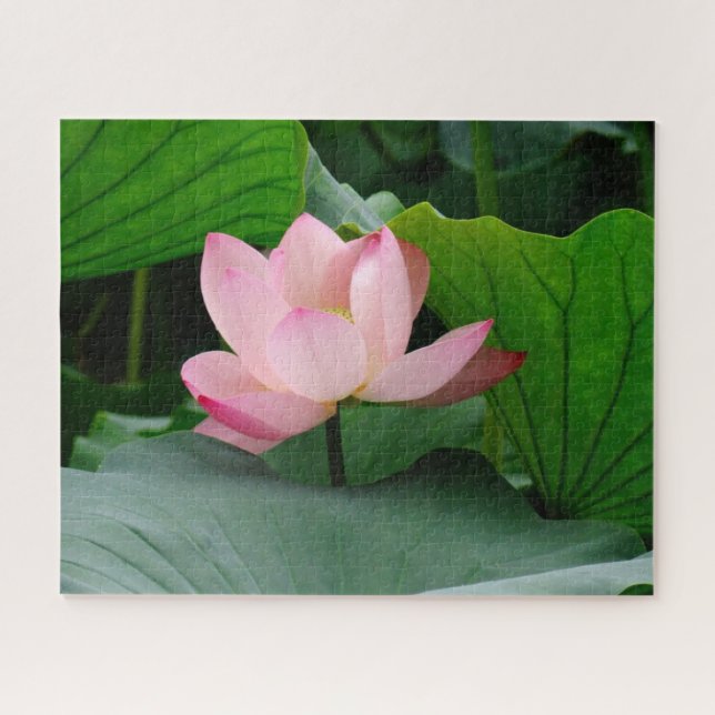 Wasserlilie Puzzle (Horizontal)