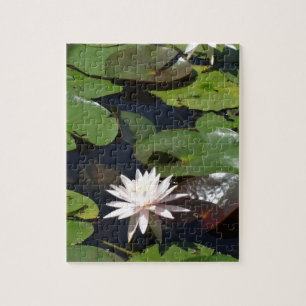 Wasserlilie Puzzle