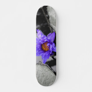 Wasserlilie Skateboard