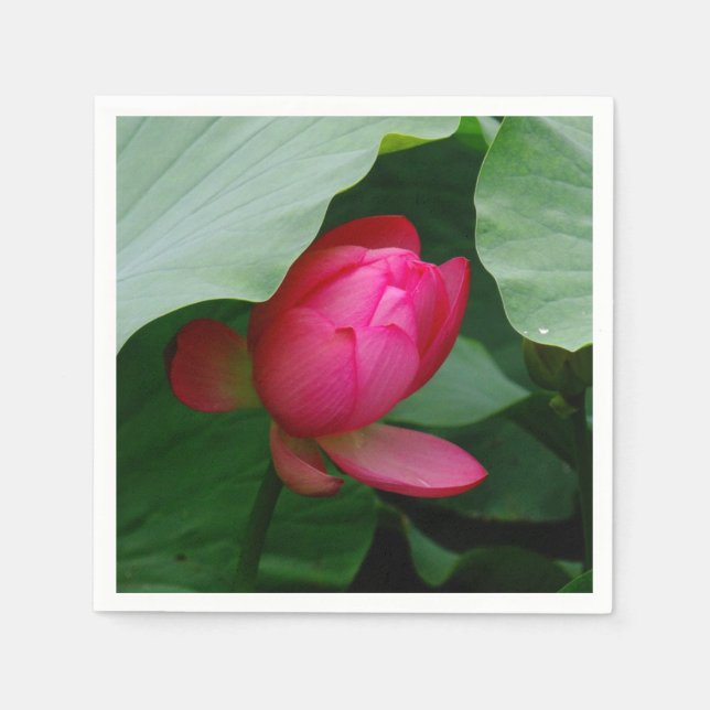 Wasserlilie Tiefe Rose Serviette (Vorderseite)