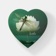 Wasserlilie und Libelle