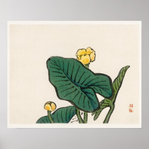 Wasserlilie von Kōno Bairei (1844-1895) Poster