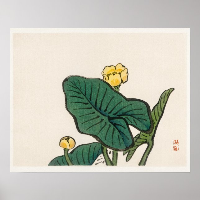 Wasserlilie von Kōno Bairei (1844-1895) Poster (Vorne)