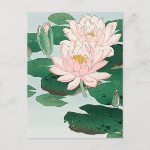 Wasserlilie von Ohara Koson, florale japanische Ku Postkarte