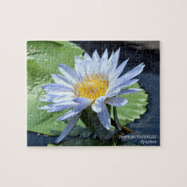 Wasserlilie Water Lily Jigsaw Puzzle Game