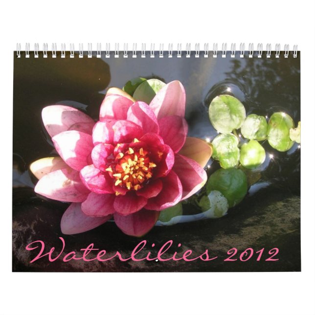 Wasserlilien 2012, Doppelseite Kalender (Titelbild)