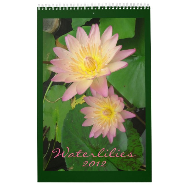 Wasserlilien 2012, Single Kalender (Titelbild)