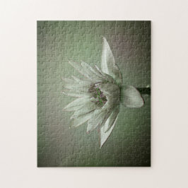 Wasserlilien-Grünton-Puzzle Puzzle