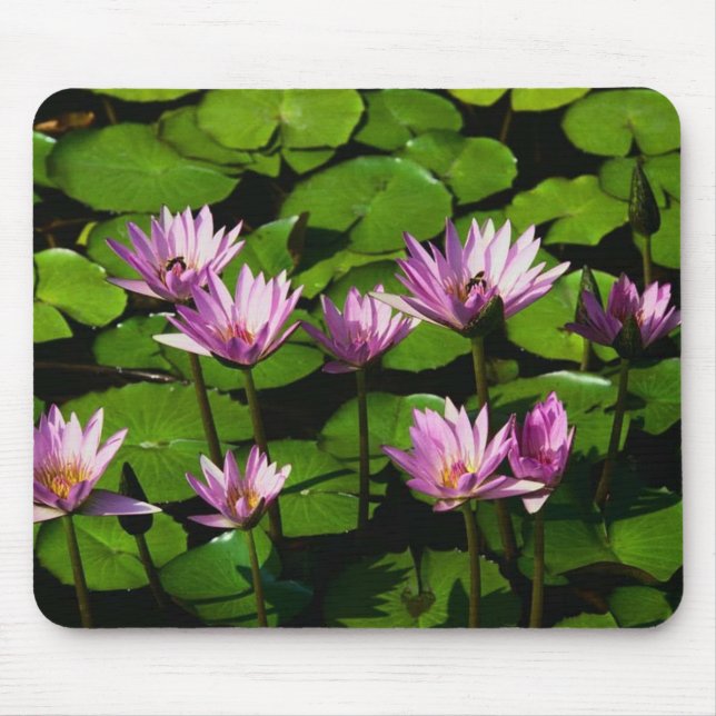 Wasserlilien Mousepad (Vorne)