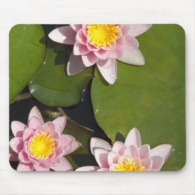 Wasserlilien Mousepad (Vorne)