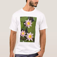 Wasserlilien