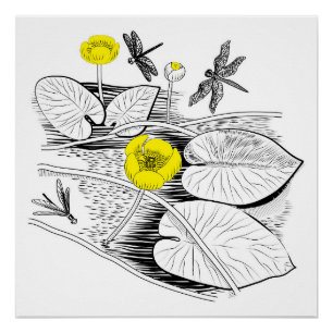 Wasserliliengravur Poster