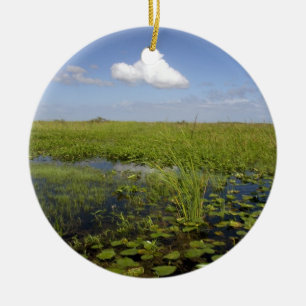 Wasserliliken und Sägegras in Florida immerglades Keramik Ornament