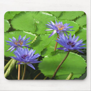 Wasserlililie Mousepad
