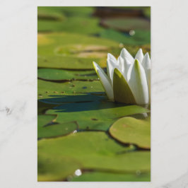 Wasserlily Blossom Briefpapier