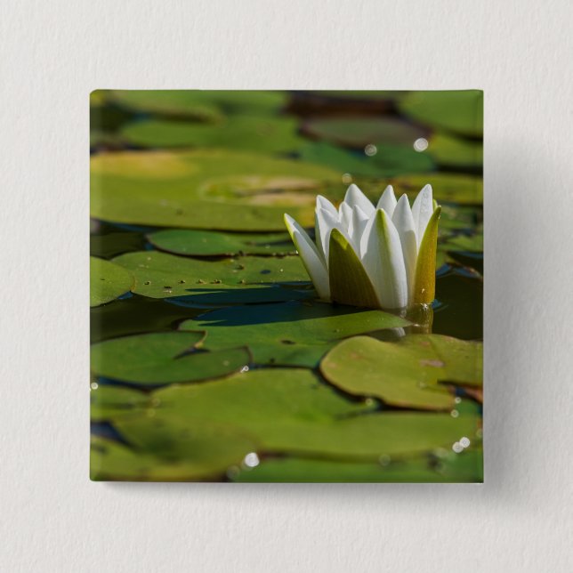 Wasserlily Blossom Button (Vorderseite)