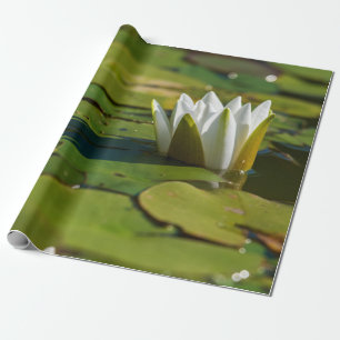 Wasserlily Blossom Geschenkpapier