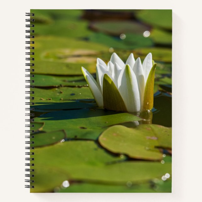 Wasserlily Blossom Notizbuch (Vorderseite)