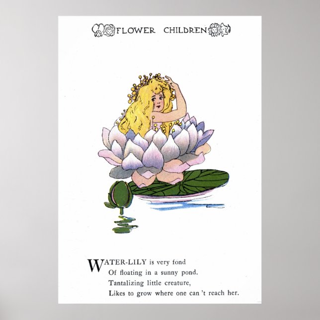 Wasserlily Poster (Vorne)