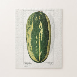 Wassermelon (Citrullus Lanatus) Fruchtbespannung Puzzle
