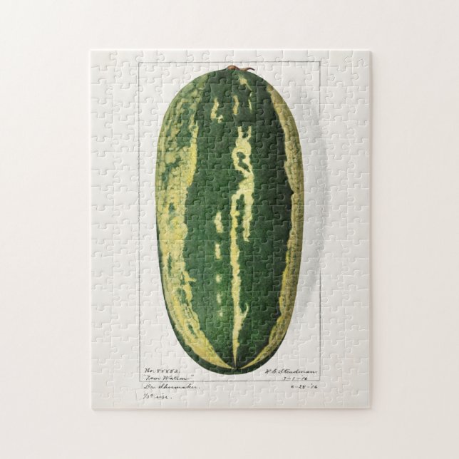 Wassermelon (Citrullus Lanatus) Fruchtbespannung Puzzle (Vertikal)