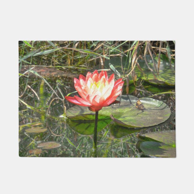 Wassermelone-Lilie Fußmatte (Vorderseite)