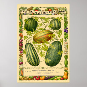 Wassermelone Retro viktorianische botanische Kunst Poster