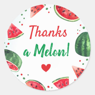 Wassermelone-Sommer-Geburtstags-Party dankt einer Runder Aufkleber