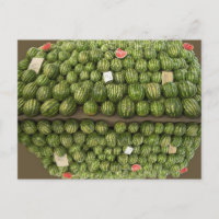 Wassermelonen