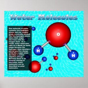 Wassermoleküle Poster