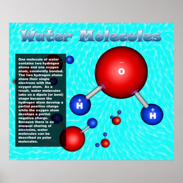 Wassermoleküle Poster (Vorne)