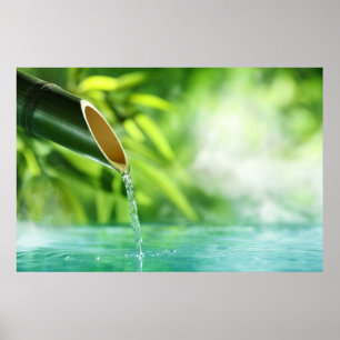 Wässern Sie das Wunder alles Lebens durch Poster