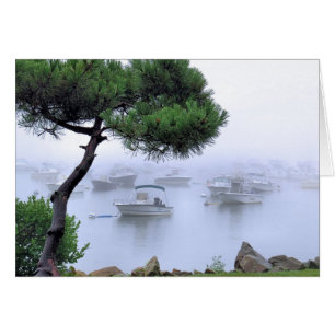 Wassernebel