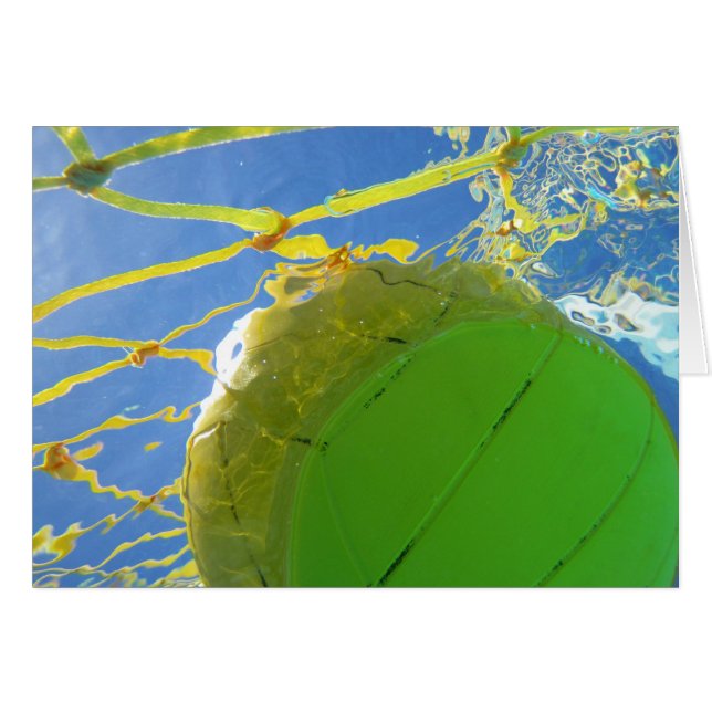 Wasserpolo (Vorderseite (Horizontal))