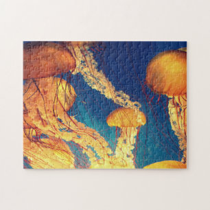 Wasserrätsel Wassertauchen Wasserfische Fotos Meer Puzzle