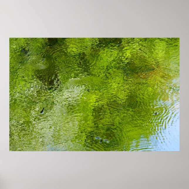 Wasserschläger im Laurel Hill Staat Park Poster (Vorne)