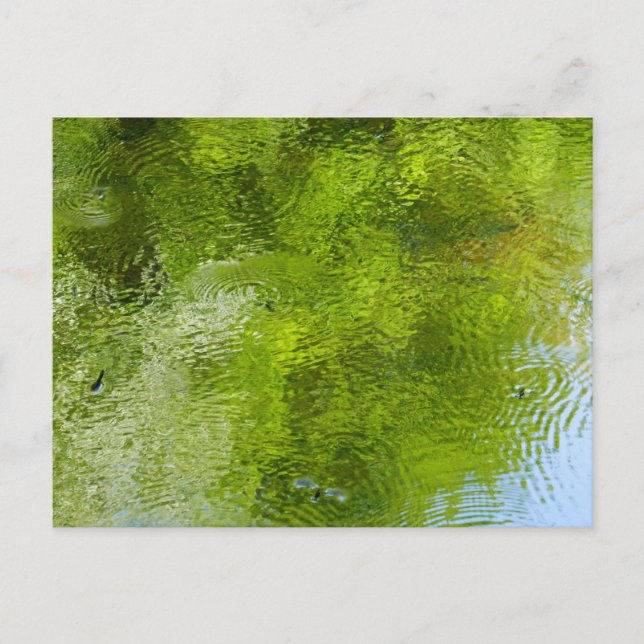 Wasserschläger im Laurel Hill Staat Park Postkarte (Vorderseite)