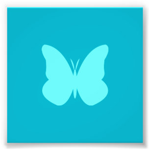 Wasserschmetterling Fotodruck