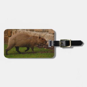 Wasserschwein Gepäckanhänger