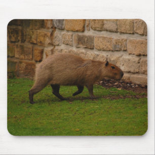 Wasserschwein Mousepad