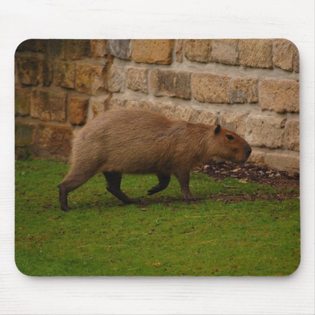 Wasserschwein Mousepad (Vorne)