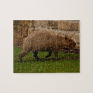 Wasserschwein Puzzle