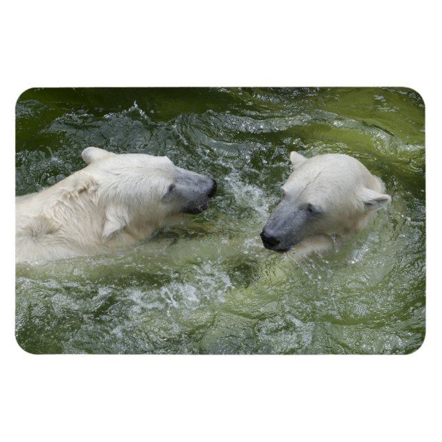 Wasserspass Eisbären Magnet (Horizontal)