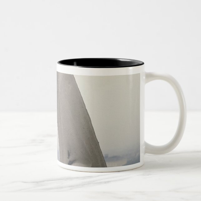 Wasserspeier auf der Balustrade von dem großen Zweifarbige Tasse (Rechts)