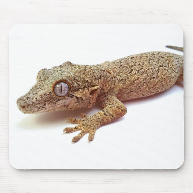 Wasserspeiergecko-Mausunterlage Mousepad (Vorne)