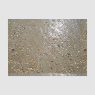 Wassersportzentrum Muscheln Beach Sand Summer Seidenpapier