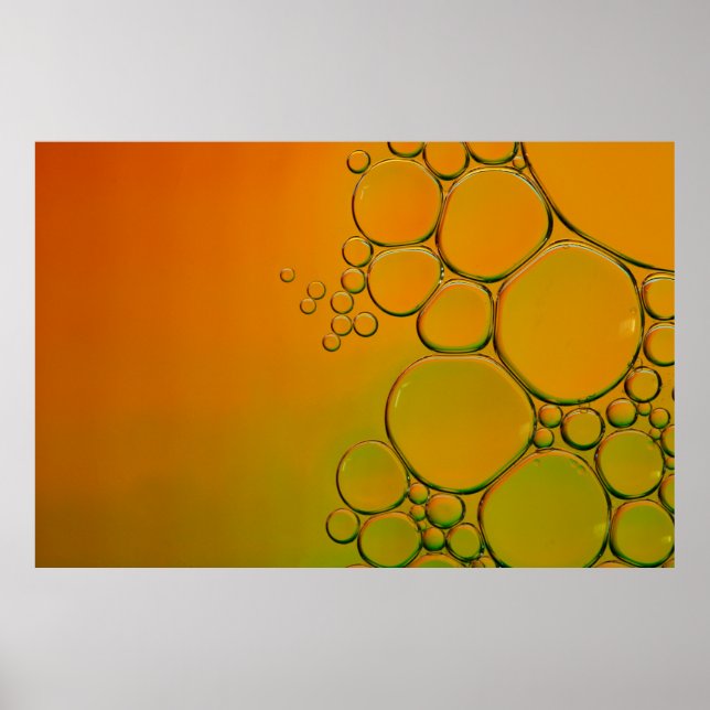 Wassertaubengrafik Poster (Vorne)