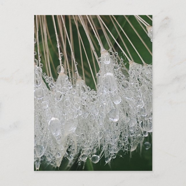 Wassertröpfchen Postkarte (Vorderseite)
