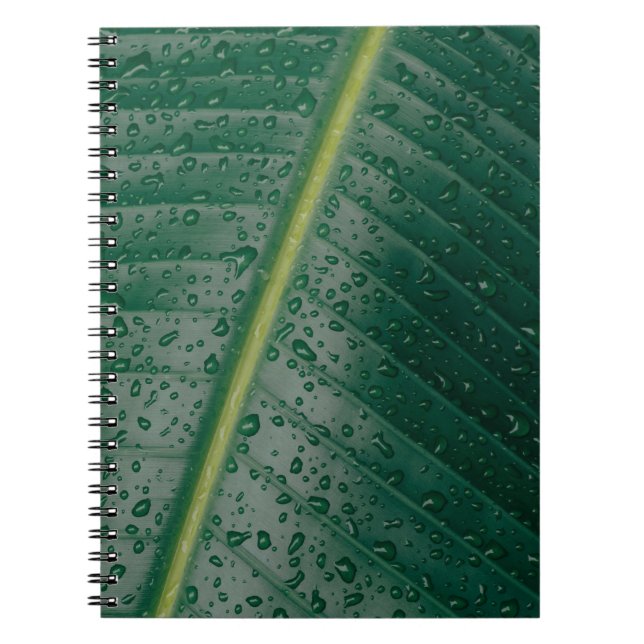Wassertropfen auf Bananenblättern Notizblock (Vorderseite)